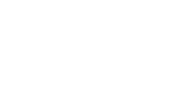 skoda-white